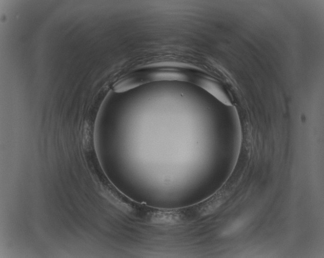 X0000082950077200702011253