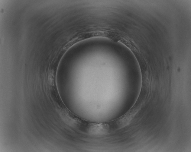 X0000082950083200702011253