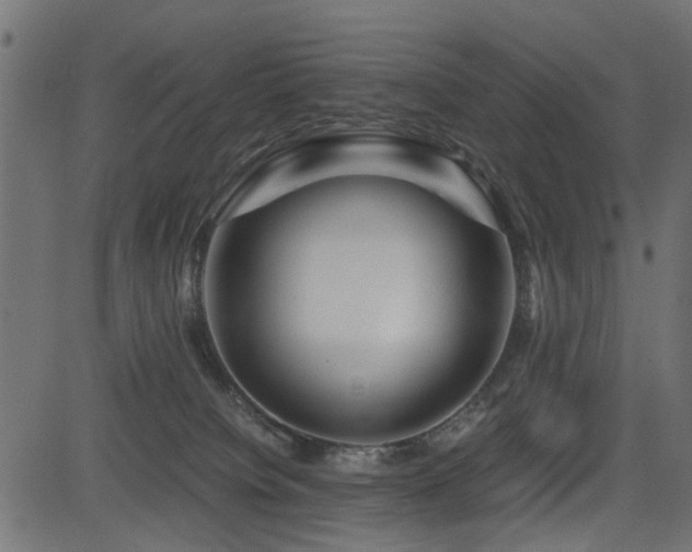 X0000082950084200702011253