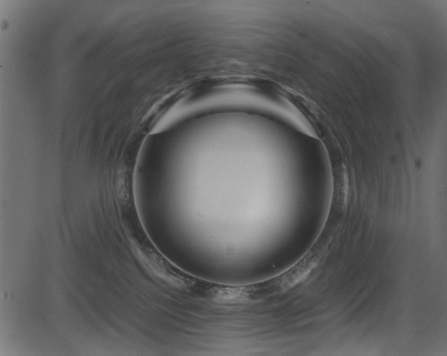 X0000082950088200702011253
