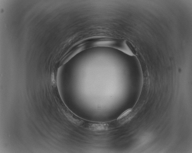 X0000082950089200702011253