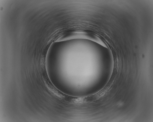 X0000082950092200702011253