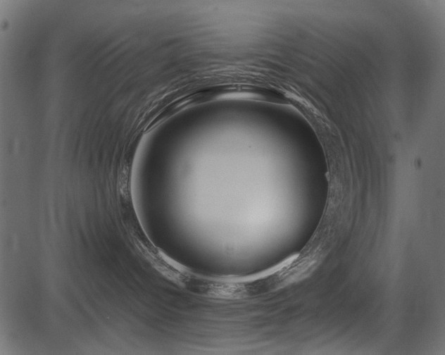 X0000082950096200702011253
