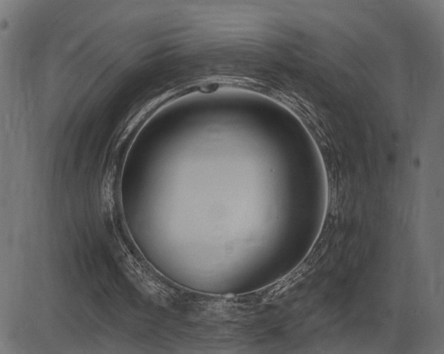 X0000082950098200702011252
