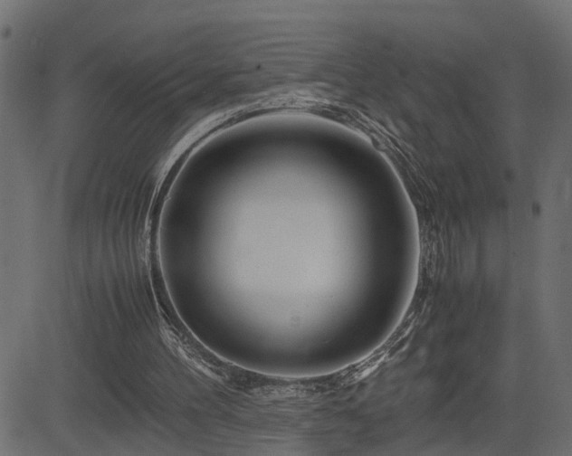 X0000082950100200702011252