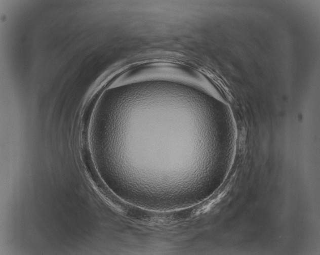 X0000082950101200702011252