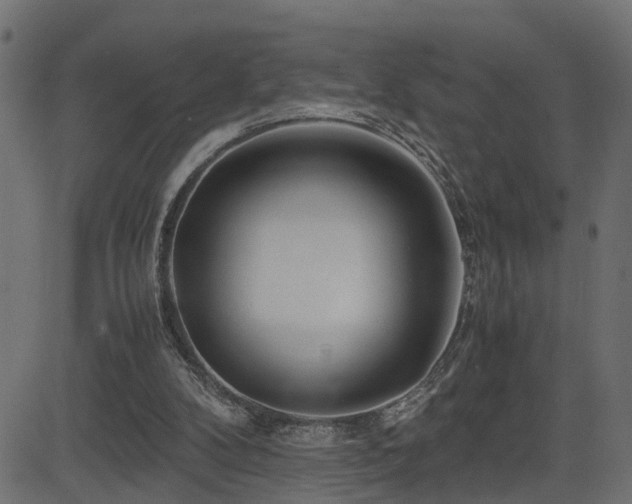 X0000082950104200702011252
