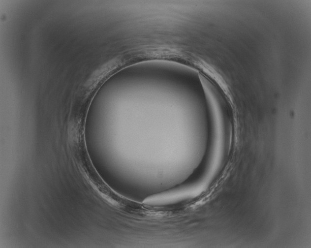 X0000082950105200702011252