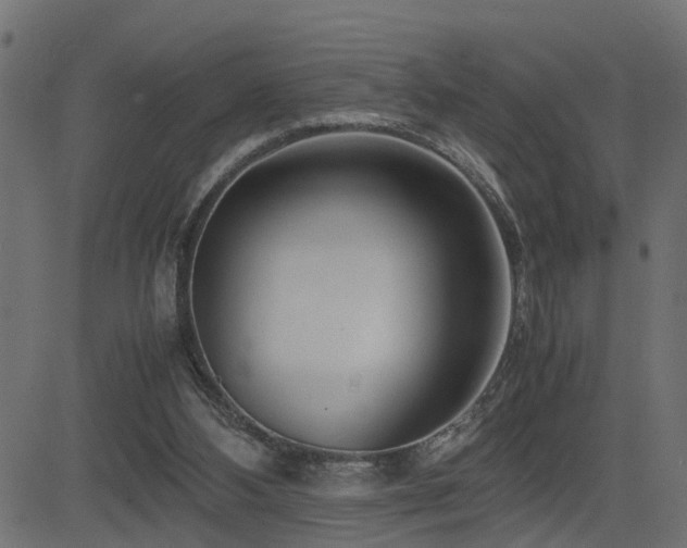 X0000082950108200702011252