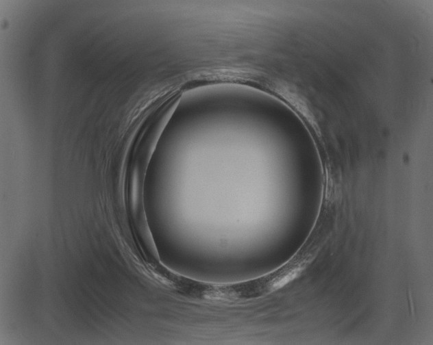 X0000082950109200702011252