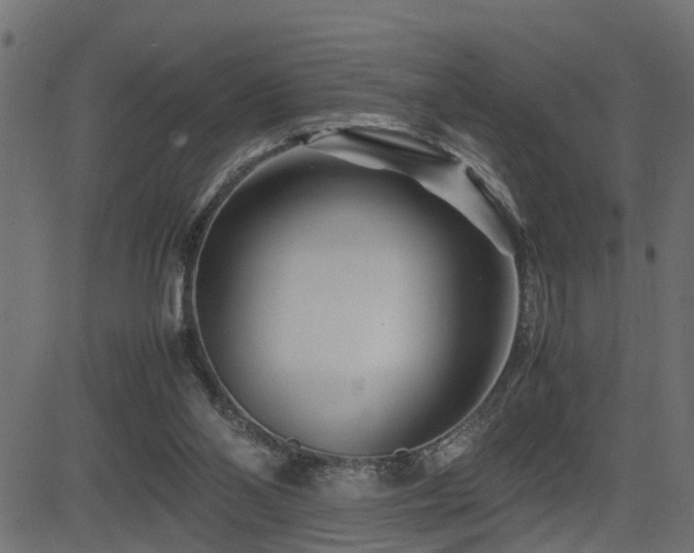 X0000082950110200702011252