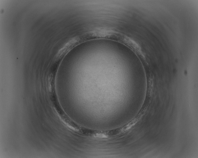 X0000082950114200702011252