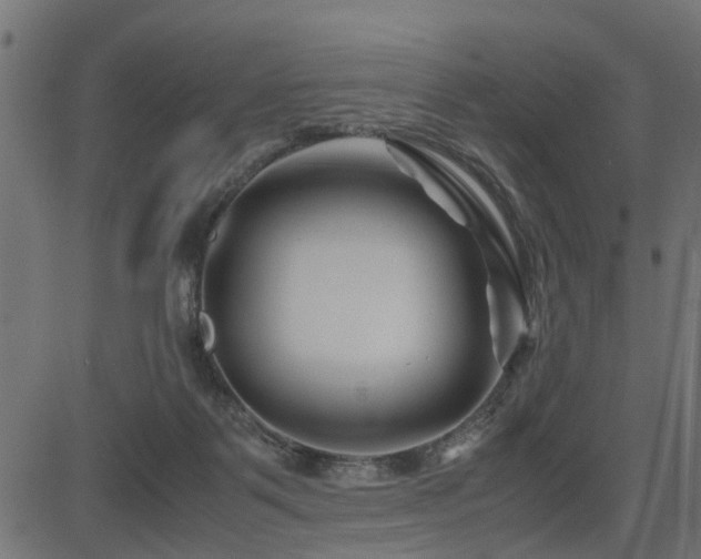X0000082950123200702011252
