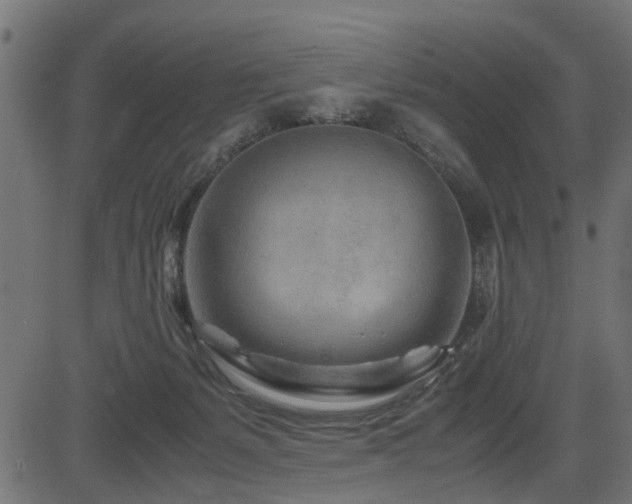 X0000082950127200702011252
