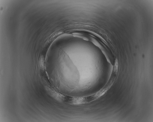 X0000082950143200702011251