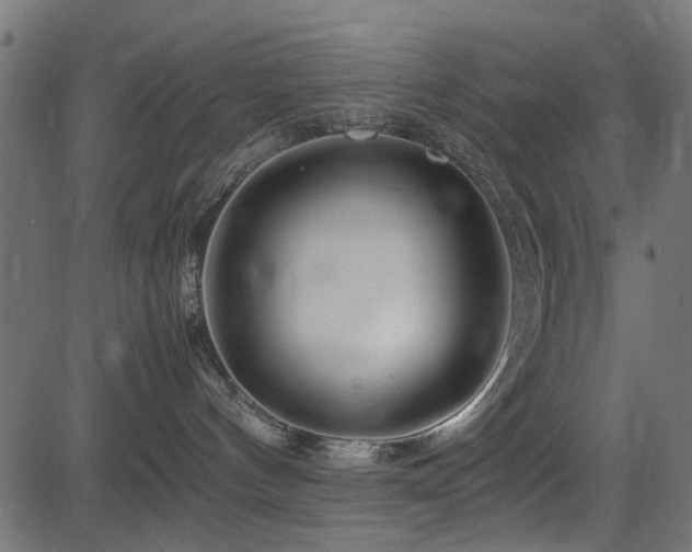 X0000082950144200702011251