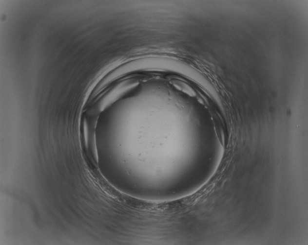 X0000082950148200702011251
