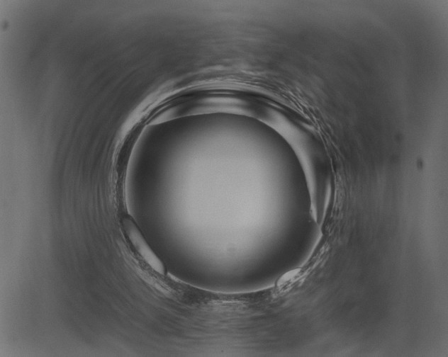 X0000082950150200702011251