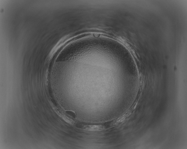X0000082950151200702011251