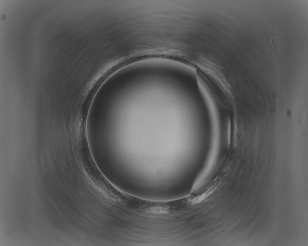 X0000082950156200702011251