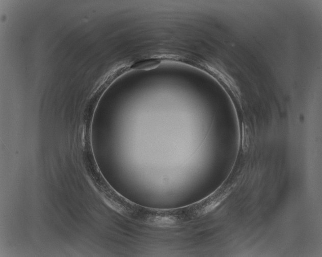 X0000082950157200702011251