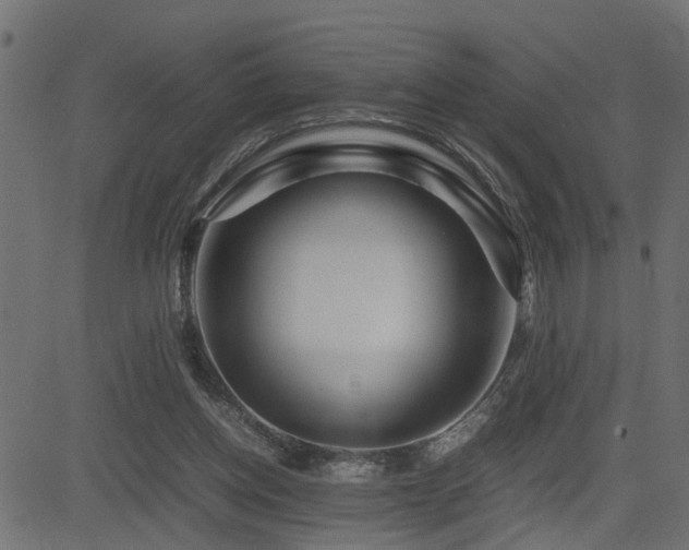 X0000082950158200702011251