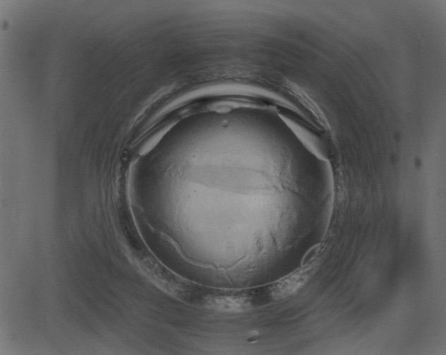 X0000082950163200702011251