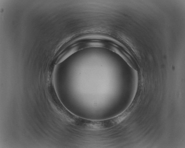 X0000082950164200702011251