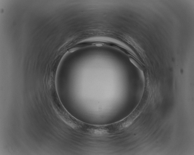 X0000082950165200702011251