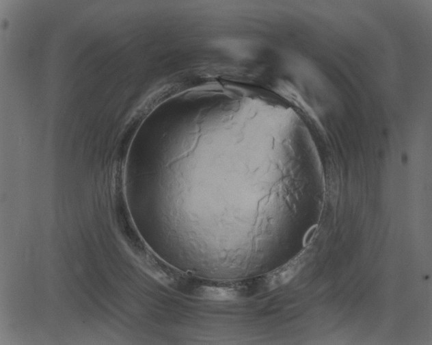 X0000082950167200702011251