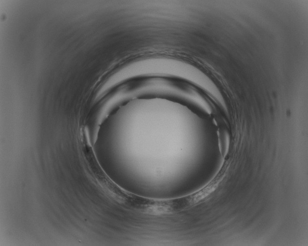 X0000082950168200702011251
