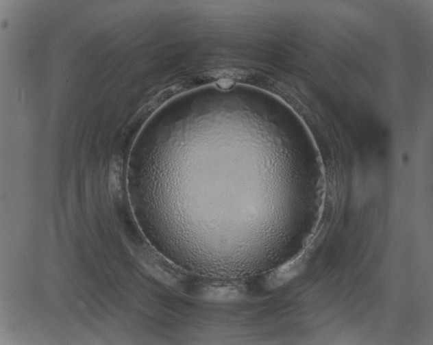 X0000082950175200702011251