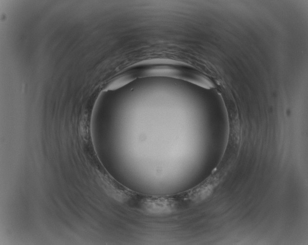 X0000082950181200702011251