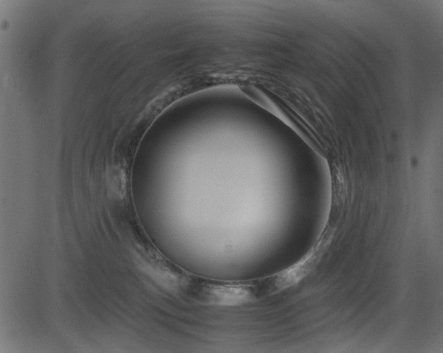 X0000082950183200702011251