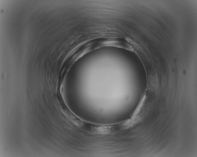 X0000082950184200702011251