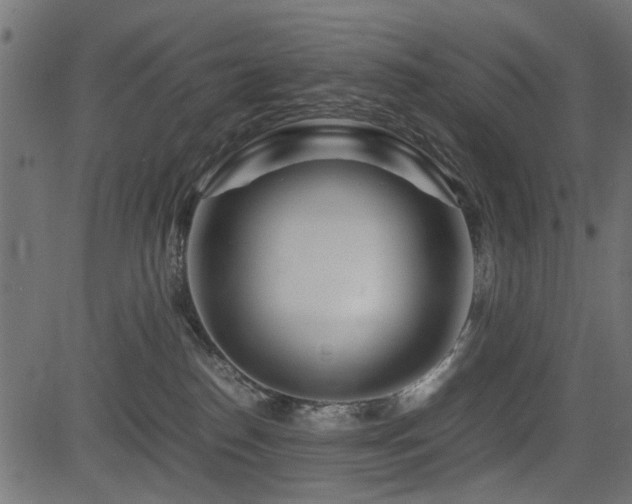 X0000082950186200702011251