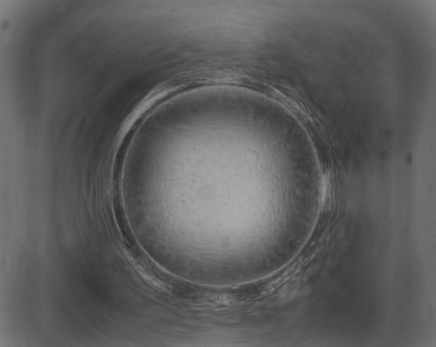 X0000082950195200702011251