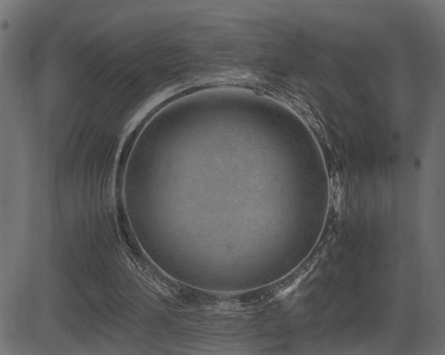 X0000082950196200702011251