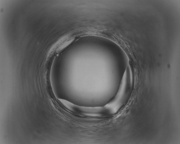 X0000082950197200702011251