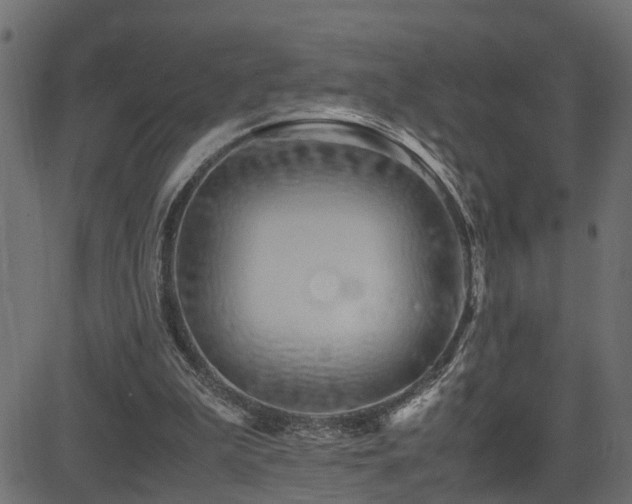 X0000082950199200702011251