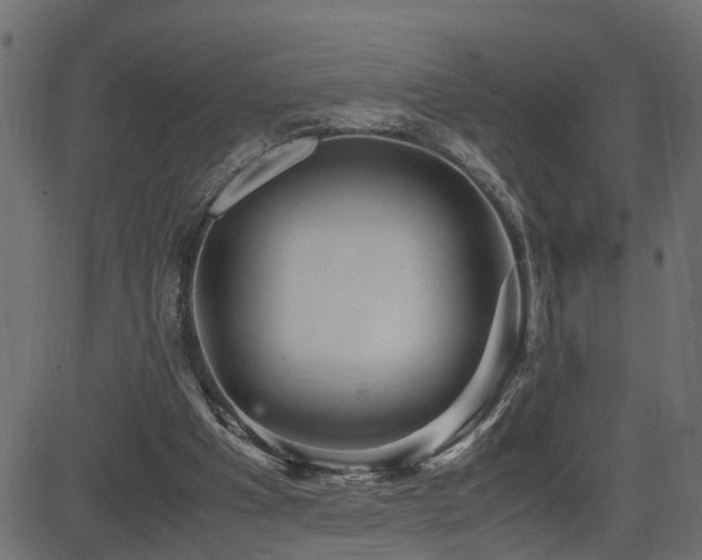 X0000082950201200702011251