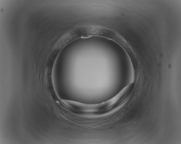 X0000082950217200702011250