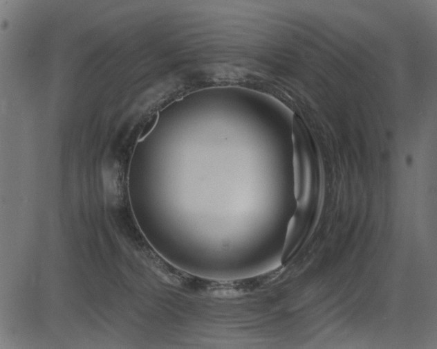 X0000082950228200702011250