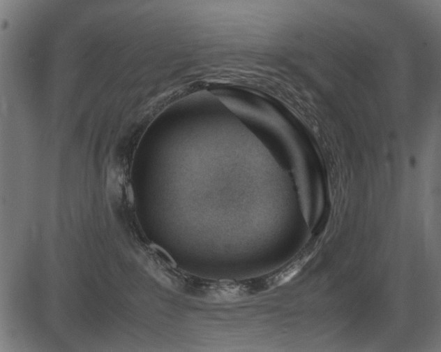 X0000082950235200702011250