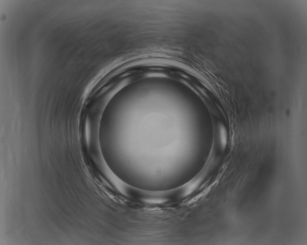 X0000082950244200702011249