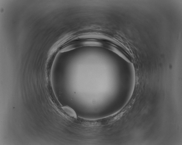 X0000082950245200702011249
