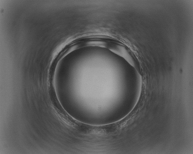 X0000082950248200702011249