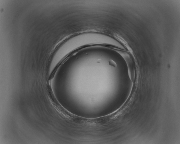 X0000082950249200702011249