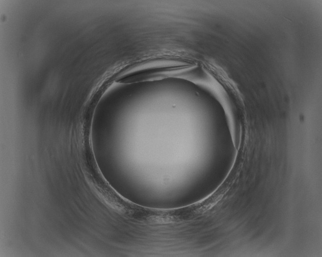 X0000082950250200702011249