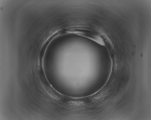 X0000082950251200702011249